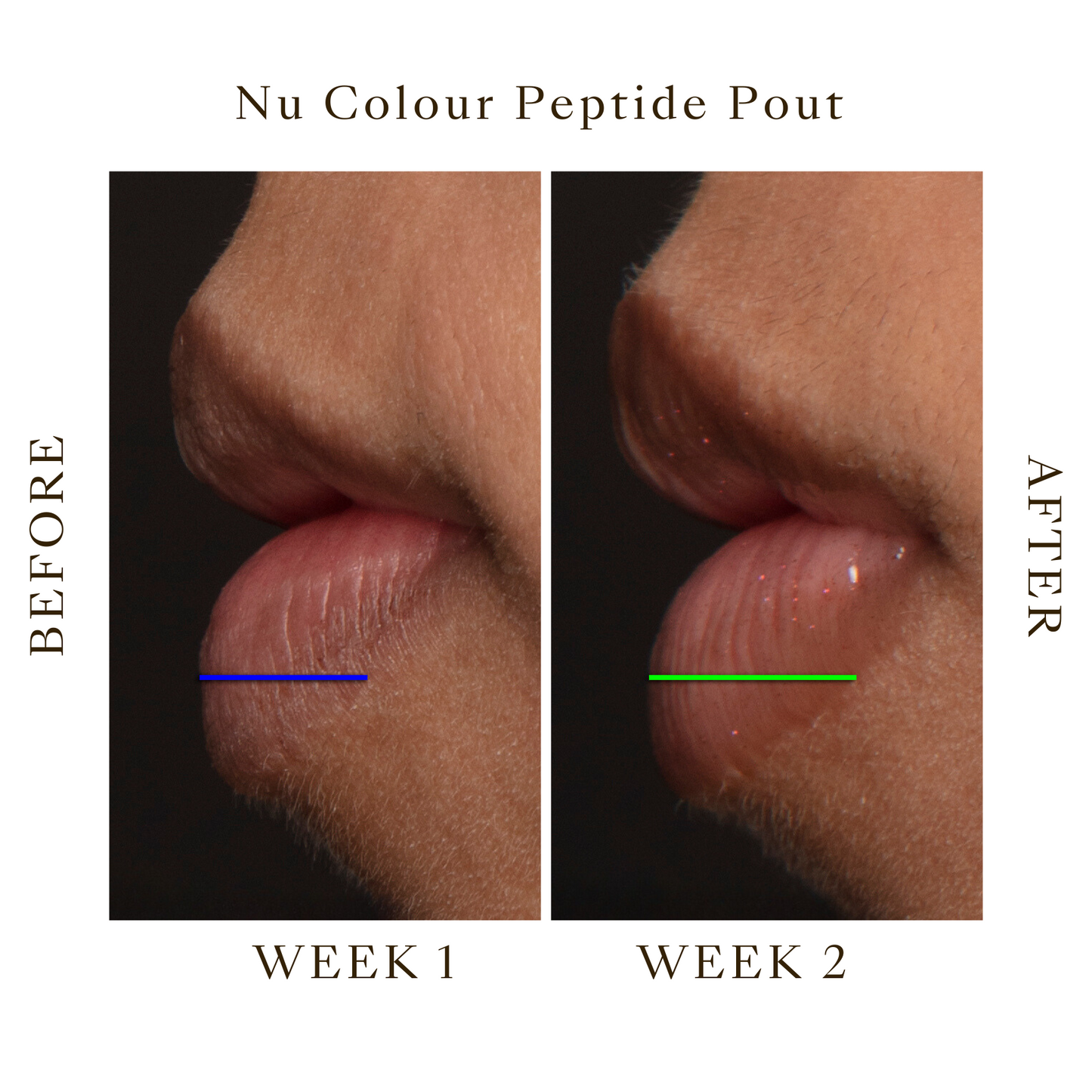 Nu Colour Peptide Lip Pout
