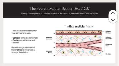 EverGlow Reinforced Beauty Matrix w/Marine Collagen