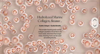 EverGlow Reinforced Beauty Matrix w/Marine Collagen